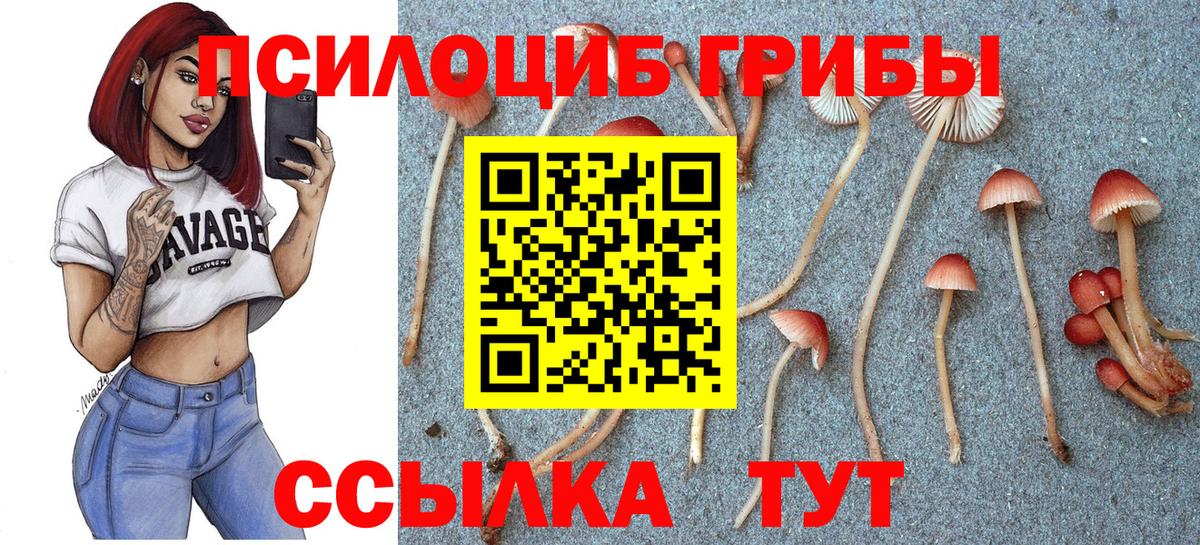 Псилоцибиновые грибы GOLDEN TEACHER Артём