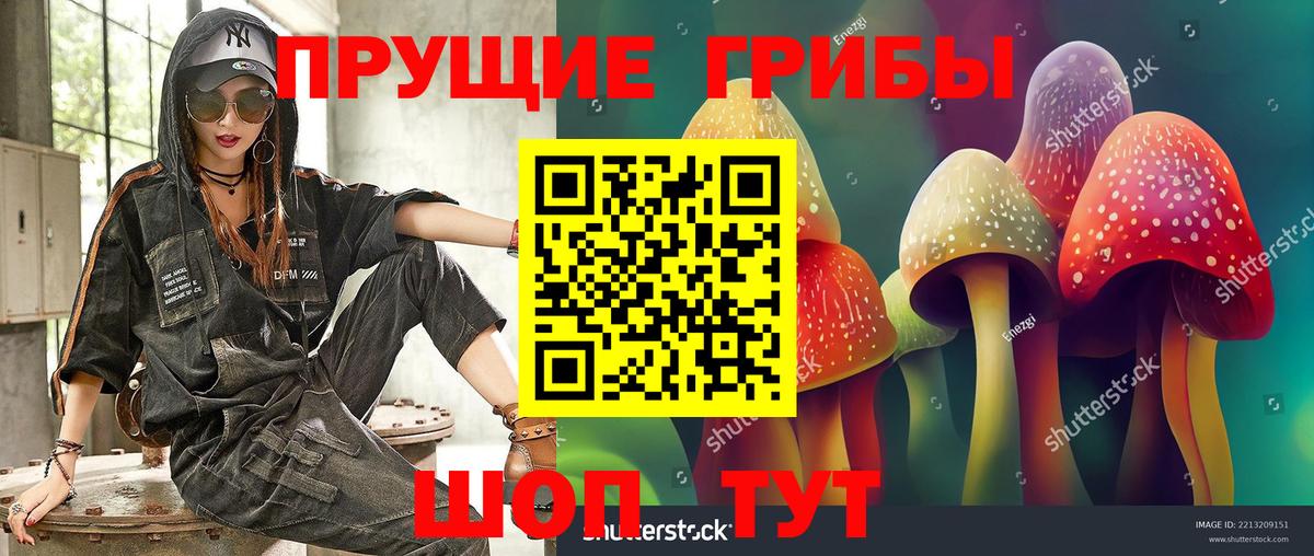 продажа наркотиков  Псилоцибиновые грибы мицелий  Вход с VPN  Артём 